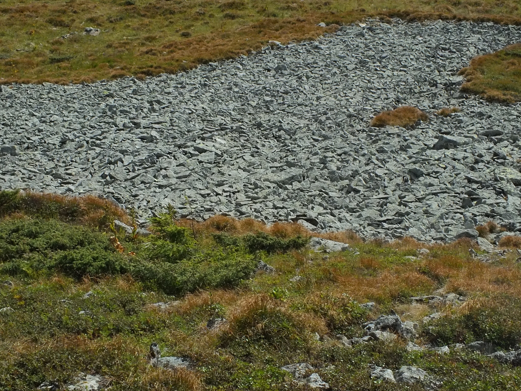 &copy; R.Thiel
11.08.2012 16:57:55
11.08.2012
Rumänien 2012
Rumänienfotos