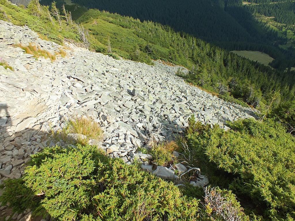 &copy; R.Thiel
11.08.2012 17:27:59
11.08.2012
Rumänien 2012
Rumänienfotos