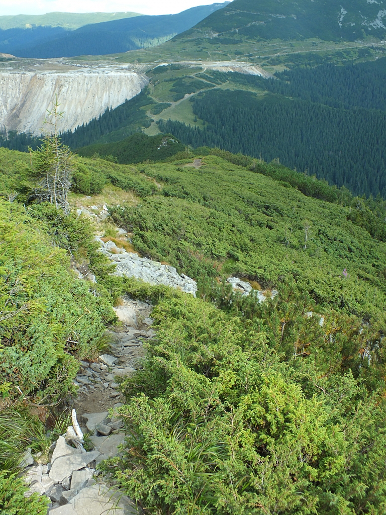 &copy; R.Thiel
11.08.2012 17:29:39
11.08.2012
Rumänien 2012
Rumänienfotos