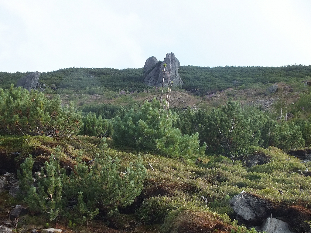 &copy; R.Thiel
11.08.2012 18:33:30
11.08.2012
Rumänien 2012
Rumänienfotos