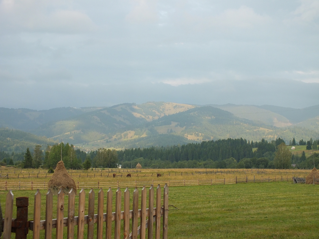 &copy; R.Thiel
11.08.2012 19:18:37
11.08.2012
Rumänien 2012
Rumänienfotos