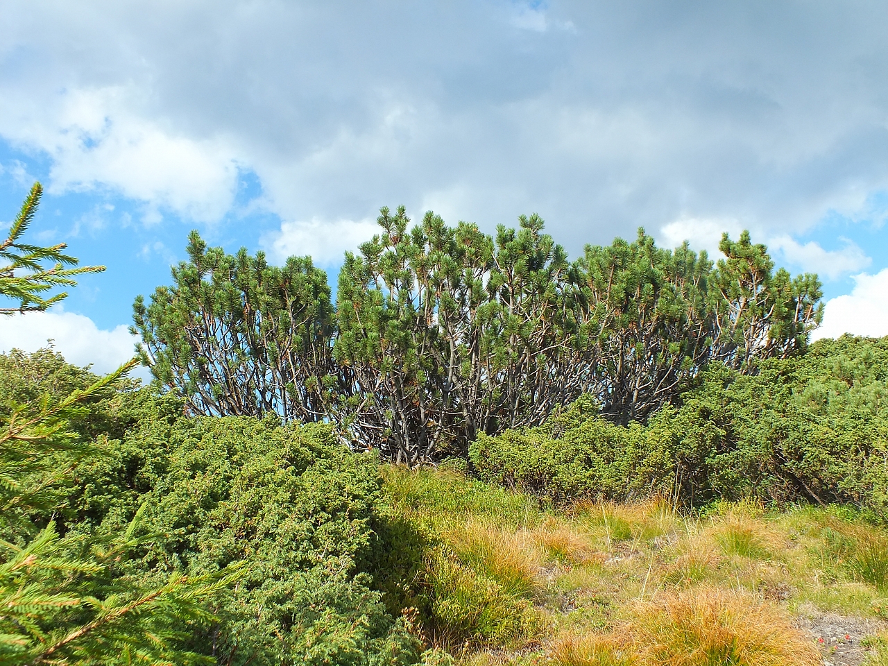 &copy; R.Thiel
11.08.2012 17:25:22
11.08.2012
Rumänien 2012
Rumänienfotos