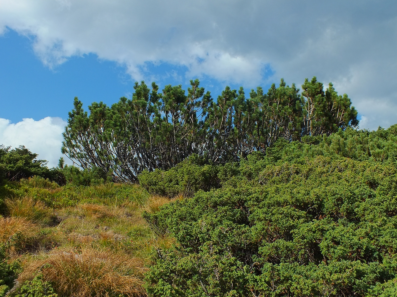 &copy; R.Thiel
11.08.2012 17:25:36
11.08.2012
Rumänien 2012
Rumänienfotos