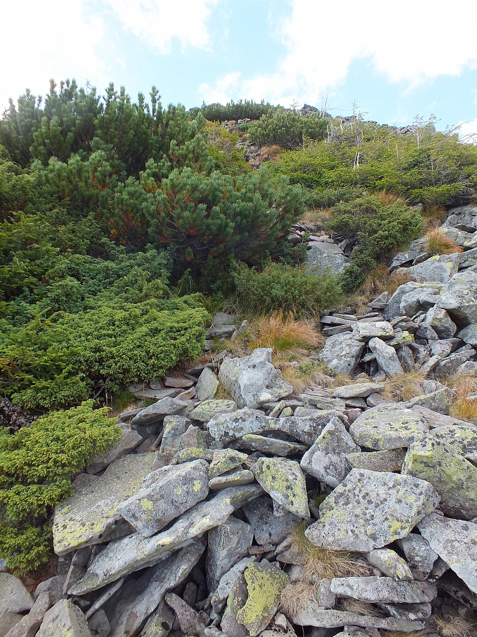 &copy; R.Thiel
11.08.2012 17:30:11
11.08.2012
Rumänien 2012
Rumänienfotos