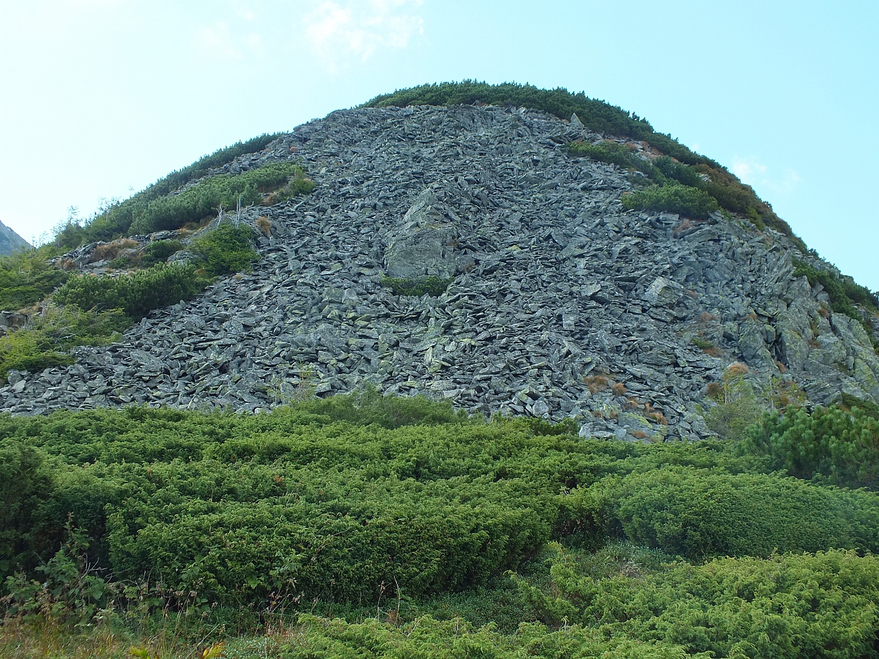 &copy; R.Thiel
11.08.2012 17:31:11
11.08.2012
Rumänien 2012
Rumänienfotos