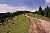 Holda von oben
August 2002
Rumänienfotos