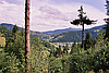 Holda von oben
August 2002
Rumänienfotos