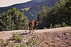 Holda von oben
August 2002
Rumänienfotos