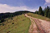 Holda von oben
August 2002
Rumänienfotos
