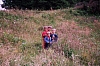 Die Kinder
August 2002
Rumänienfotos
