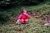 Die Kinder
August 2002
Rumänienfotos