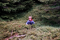 Die Kinder
August 2002
Rumänienfotos