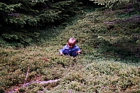 Die Kinder
August 2002
Rumänienfotos