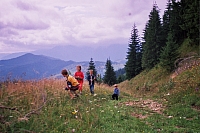 Die Kinder
August 2002
Rumänienfotos