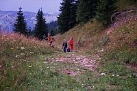 Die Kinder
August 2002
Rumänienfotos