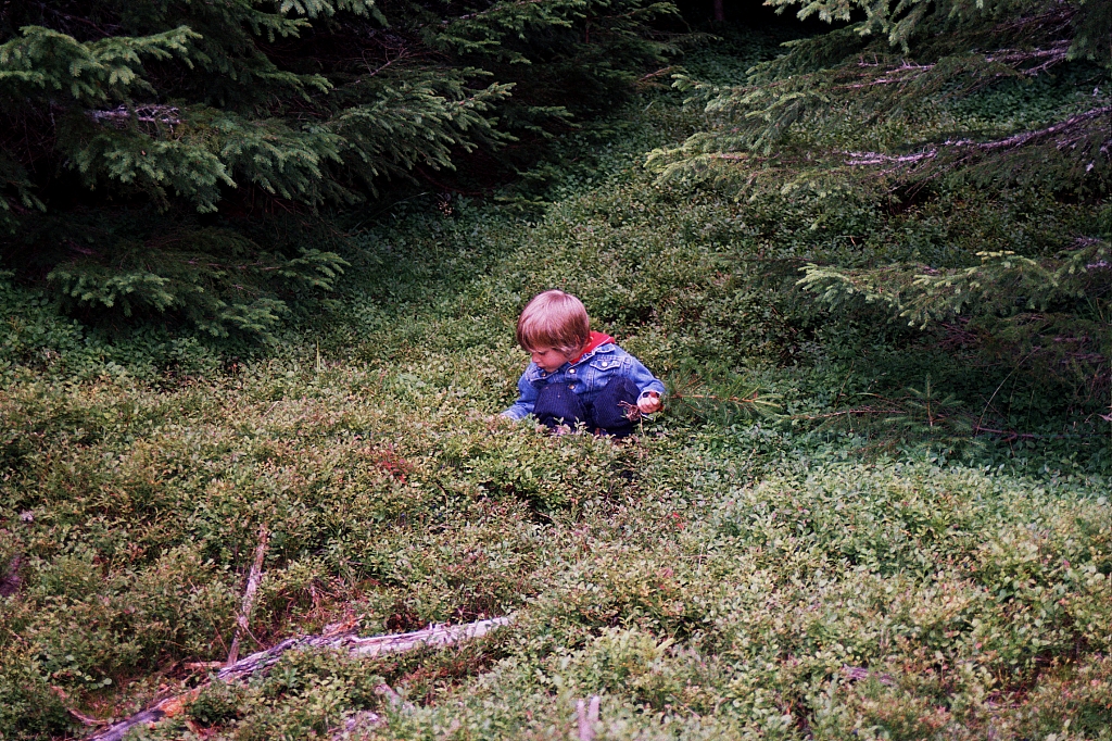&copy; R.Thiel
Die Kinder
August 2002
Rumänienfotos